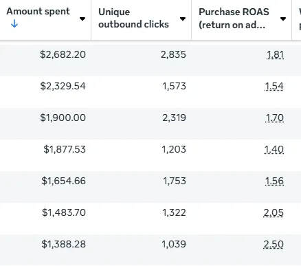 Meta Ads Manager — spend, unique outbound clicks and purchase ROAS by row